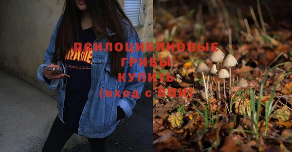 каннабис Алзамай