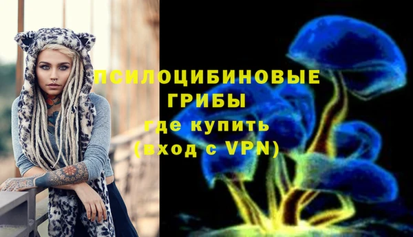 герыч Алексин