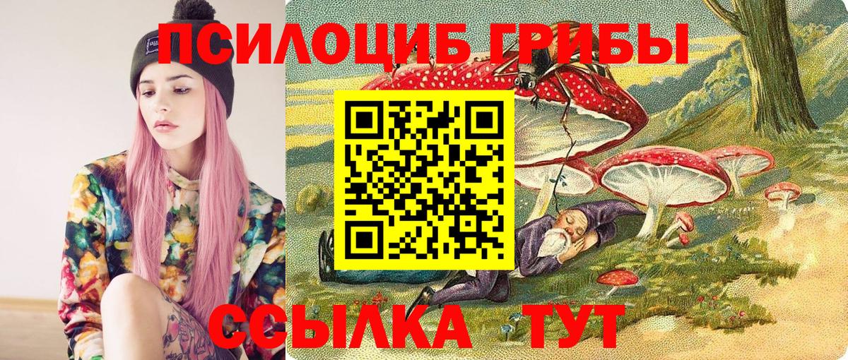 Галлюциногенные грибы прущие грибы Ижевск