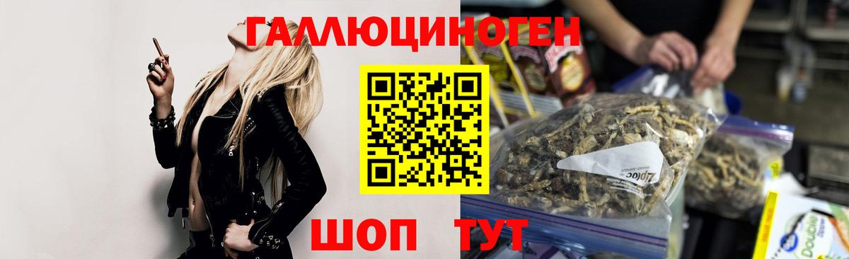 Псилоцибиновые грибы GOLDEN TEACHER  Вход с VPN  Ижевск 