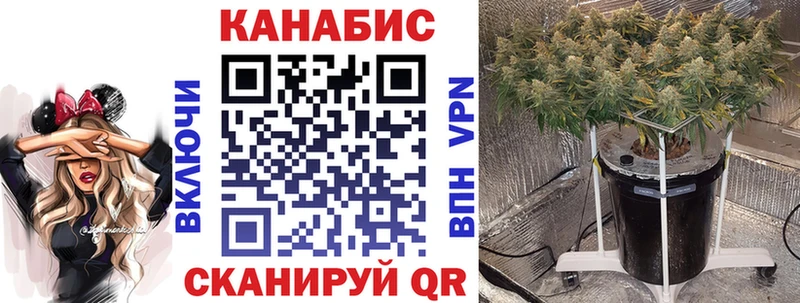 где найти   Ижевск  Каннабис SATIVA & INDICA 